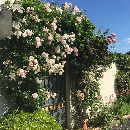 A L'ombre Du Figuier Longeves (Charente-Maritime)